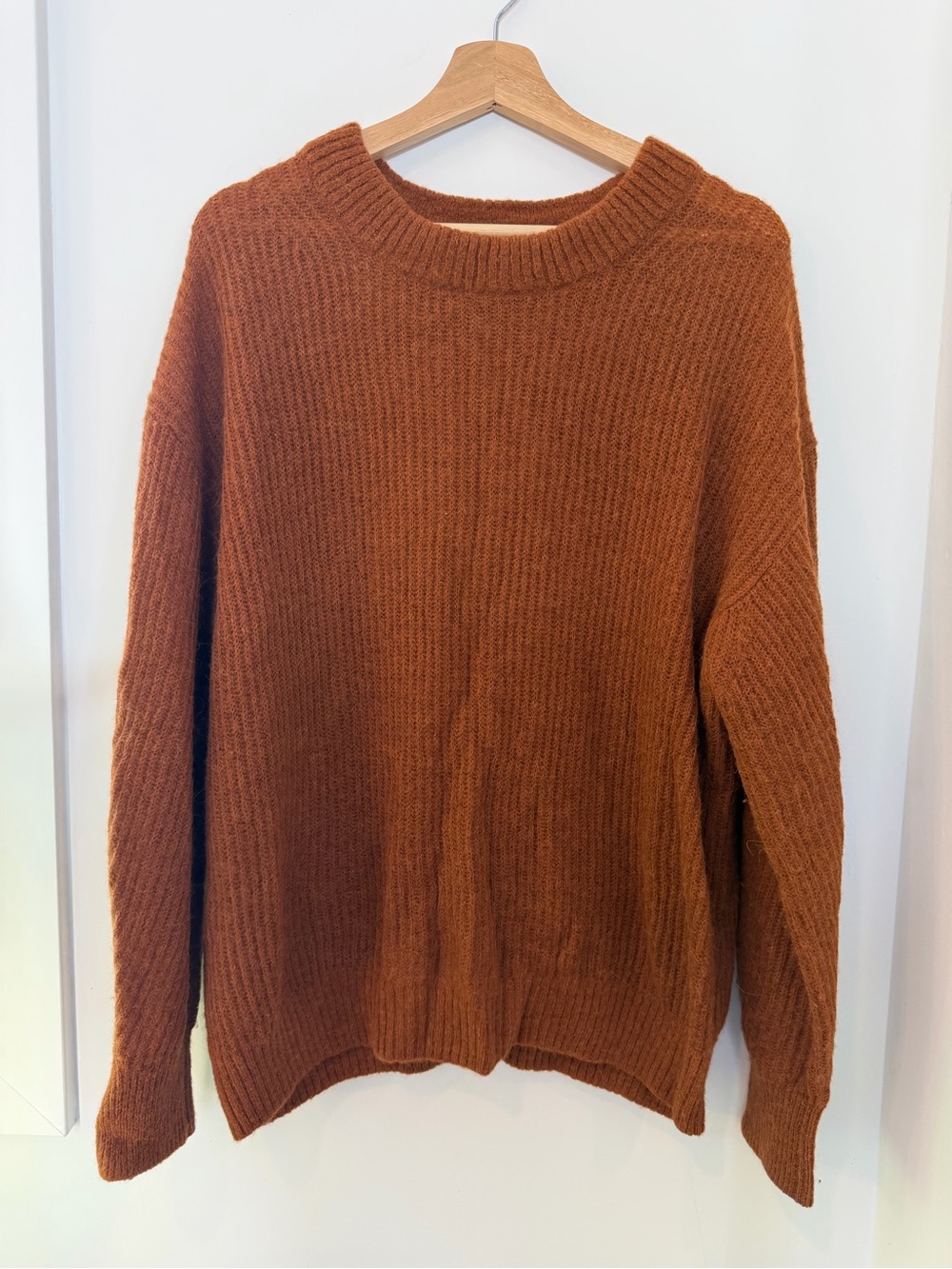 Everlane Women's rust Orange Crewneck Sweater alpaca and wool